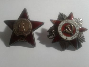 Орден Отечественной войны, Орден Красной звезды.