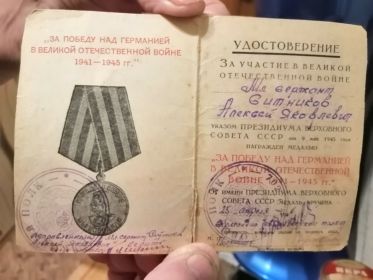 Медаль за Победу над Германией