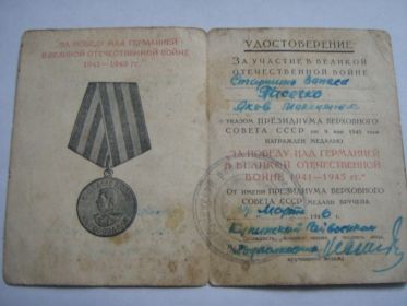 Медаль «За победу над Германией в Великой Отечественной войне 1941-1945 г.»