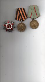 Медаль "За оборону Сталинграда", "За победу над Германией",  орден "Отечественной войны"