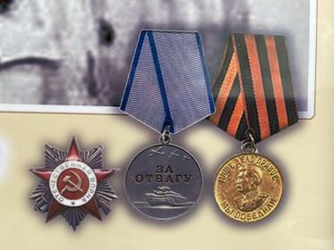 Отечественная Война ,Медаль Жукова ,за отвагу