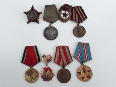 Орден Красной Звезды, медали За отвагу и За победу над Германией