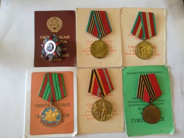 1944 медаль "За отвагу" , 1985 орден "Великой отечественной войны, юбилейные медали "За победу ВОВ 30,40,50,70 лет"