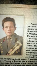 Медаль за освобождение Ленинграда. Медаль за боевое  отличие. Медаль за взятие Кенисберга. За победу над Германией. За победу над Японией.