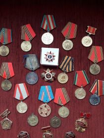 Медаль «За отвагу», орден Отечества, медаль "За победу над Германией", медаль "за оборону Ленинграда"