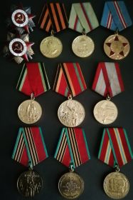 Награжден Орденами отечественной войны первой и второй степени, медалью за оборону Киева и за Победу над Германией, а также другими юбилейными медалями по оконч...