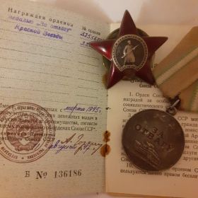 Медаль за отвагу, орден Красной звезды