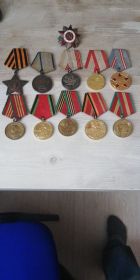 Медаль «За отвагу» , Орден Отечественной войны I степени,  Медаль «За победу над Германией в Великой Отечественной войне 1941–1945 гг.»