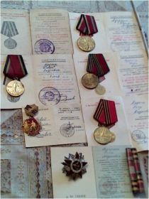 медаль за победу над Германием, Медаль Жукова, Орден Отечественной Войны 2 степени