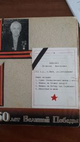 Медаль «за боевые заслуги», медаль «за победу над Германией»,орден Отечественной войны первой степени