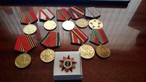 Медаль Георгия Жукова, Медаль участника войны 20 лет, Медаль участника войны 30 лет, Медаль участника войны 40 лет,Медаль участника войны 50 лет, Медаль участни...