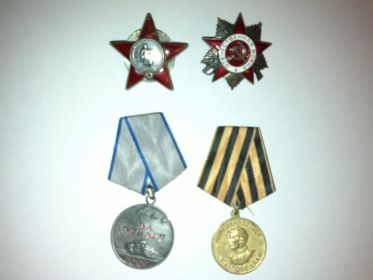 орден "Красной Звезды", орден "Отечественной Войны-2 степени", медаль "За отвагу", медаль "За Победу над фашисской Германией 1941-1945 г."
