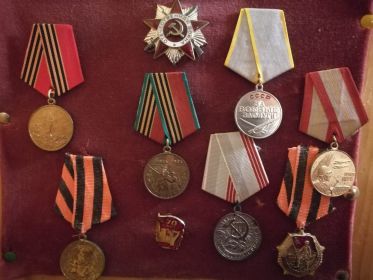 Медаль за боевые заслуги, орден Отечественной войны 2 степени
