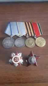 Медаль "За отвагу",  медаль " За боевые действия", орден " Отечественной войны 2 степени"