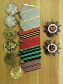 Два ордена Отечественной Войны, две медали за боевые заслуги, медали за взятие Кенигсберга и за Победу над Германией.