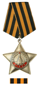 Орден Славы 3-ей степени