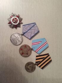 Медаль «За отвагу», Медаль «За боевые заслуги»,Медаль «За победу над Германией в Великой Отечественной войне 1941–1945 гг.»