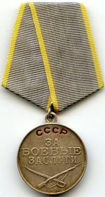 Медаль «За боевые заслуги», медаль "За Отвагу", медаль «ЗА ПОБЕДУ НАД ГЕРМАНИЕЙ В ВОВ 1941—1945 ГГ.», Орден Великой Отечественной войны второй степени