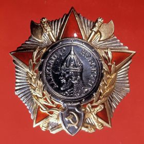 Орден Александра Невского,  Орден отечественной войны, множество различных медалей