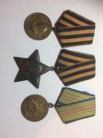 Орден славы 3 степени, медаль за освобождение Кавказа, медаль за победу на Германией