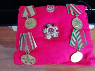 Орден Отечественной войны II степени  Медаль за победу над Германией...