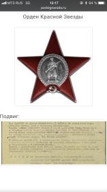 Медаль за боевые заслуги, Орден Красной Звезды