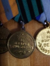 За взятие Будапешта  за взятие Кенигсберга, за взятие Вены, за победу в ВОВ, медаль Жукова
