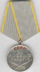 Орден Великой отечественной войны, Медали "За отвагу", "За боевые заслуги" и мн.др