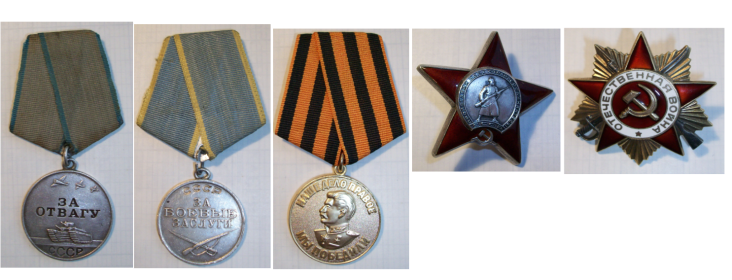 Медаль "За отвагу", медаль "За боевые заслуги",медаль "За победу над Германией", орден "Красной звезды", орден "Отечственной войны I степени"