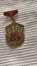 Медаль 25 лет целине