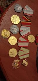«Боевые заслуги», «За победу над Германией», «Орден Красной Звезды», «За оборону Киева»