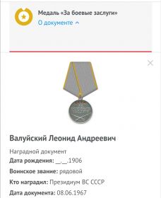 Медаль за боевые заслуги.