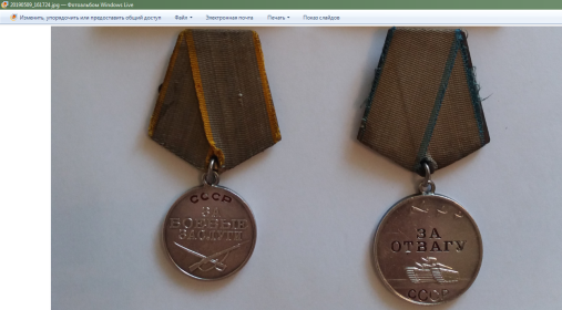 Медали "За отвагу", "За боевые заслуги"