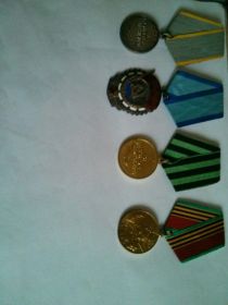 Медаль "За боевые заслуги", Орден боевого Красного Знамени, медаль "За взятие Кенигсберга"