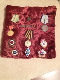 награжден Орденом Красной Звезды, медалью «За Отвагу», нагрудным знаком" Отличный разведчик", медалями "За оборону Севастополя", «За Победу над Германией".