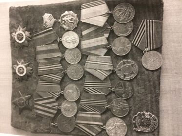 Орден Отечественной войны llстепени, Красной звезды, медали «За отвагу», за Победу над Германией, взятие Берлина и взятие Праги