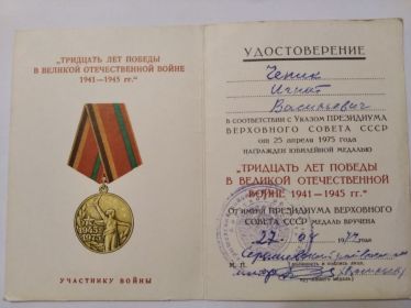 Медаль «30 лет победы в Великой Отечественной войне 1941-1945 гг»