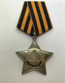 Орден Славы  II степени
