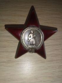 Орден "Красная Звезда", февраль 1945