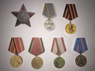 орден "Красная Звезда", медаль "За Отвагу"