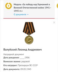 Медаль за победу над Германией в Великой Отечественной войне 1941 - 1945 гг.