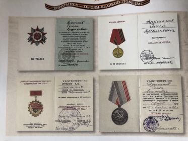 Медаль за оборону Кавказа,  Медаль Жукова, Медаль за оборону Сталинграда, Медаль за оборону Ленинграда, Медаль за взятие Кёнигсберга.
