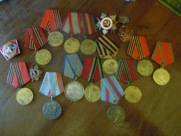 Медаль за отвагу, Медаль за взятие Берлина, Медаль за освобождение Варшавы, Ордер Отечественной войны