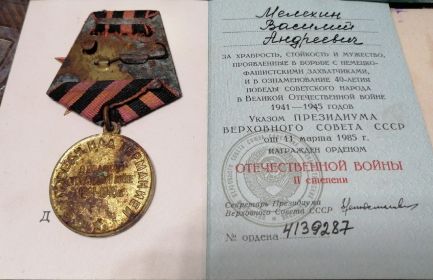 Медаль "За победу над Германией"