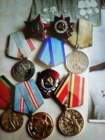 Медаль " За отвагу", медаль за взятие Варшавы, медаль за взятие Берлина, Орден Красной Звезды, Орден Отечественной войны