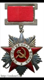 медаль за отвагу  орден великий отечественной войны 2 степени