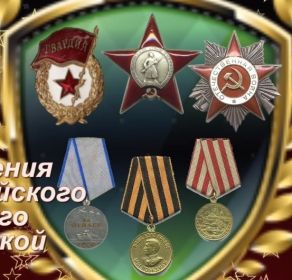 медаль За оборону Москвы, медаль За отвагу, Орден Красной Звезды, Орден Отечественной войны 2 степени, медаль за победу.