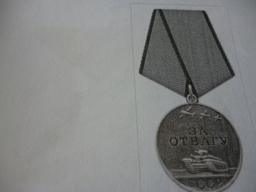Медаль" за отвагу", Орден отечественной войны 2 степени.
