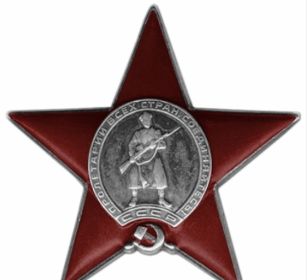 Медаль «За боевые заслуги», Орден Красной Звезды, медаль «За Отвагу».