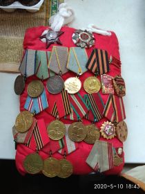 Орден красной звезды, За отвагу 2,за боевые заслуги, за оборону Сталинграда , за взятие кинигсберга, и много других.